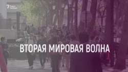 Карающая рука Алексея Навального | Грани времени с Мумином Шакировым Карающая рука Алексея Навального | Грани времени с Мумином Шакировым