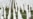 UN Court Jails Two Bosnian Serbs For Life Over Srebrenica