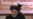 New Afghan Cabinet Finally Named