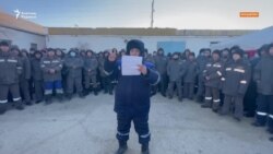 Маңғыстауда ереуіл көбейді Маңғыстауда ереуіл көбейді